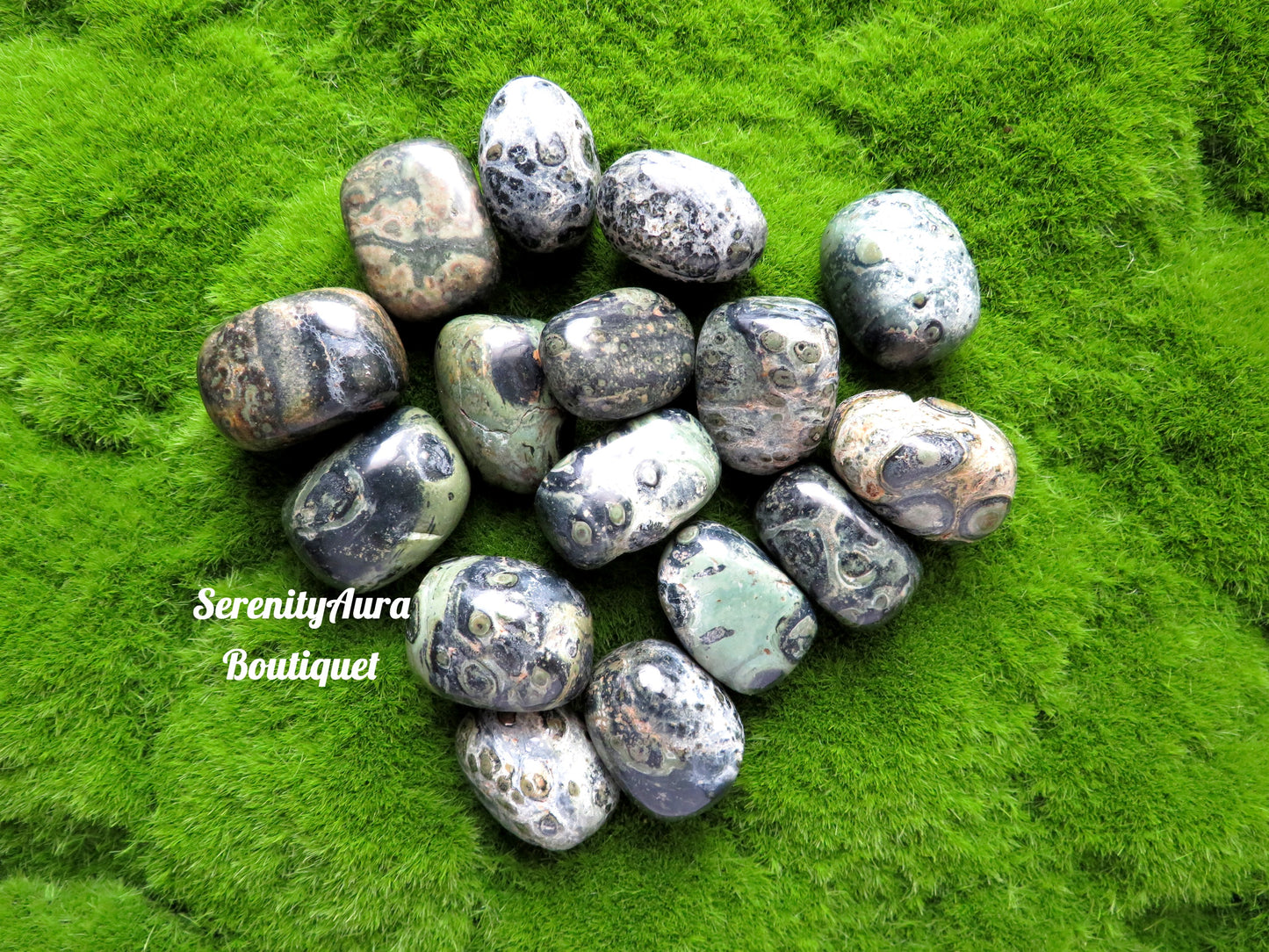 Kambaba Jasper Tumbles